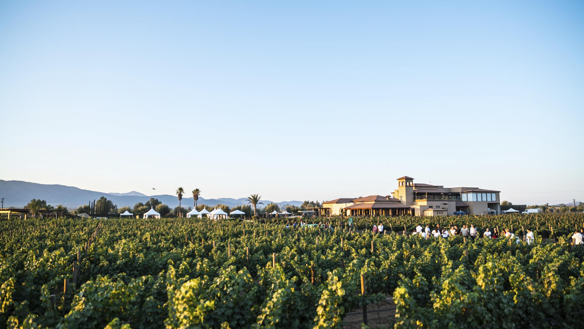 Hotel El Cielo Valle de Guadalupe